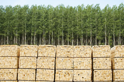 多用途管理 林業(yè)與土地資源的協(xié)同可持續(xù)之道